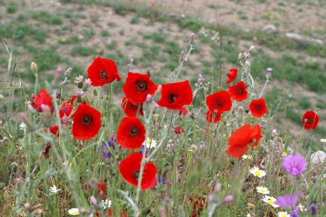 crossroads_tinos_hotel_93